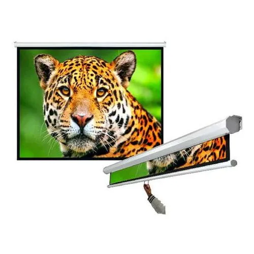 Pantalla Intelaid Proyector 100 Pulgadas Colgante IT-SPS100