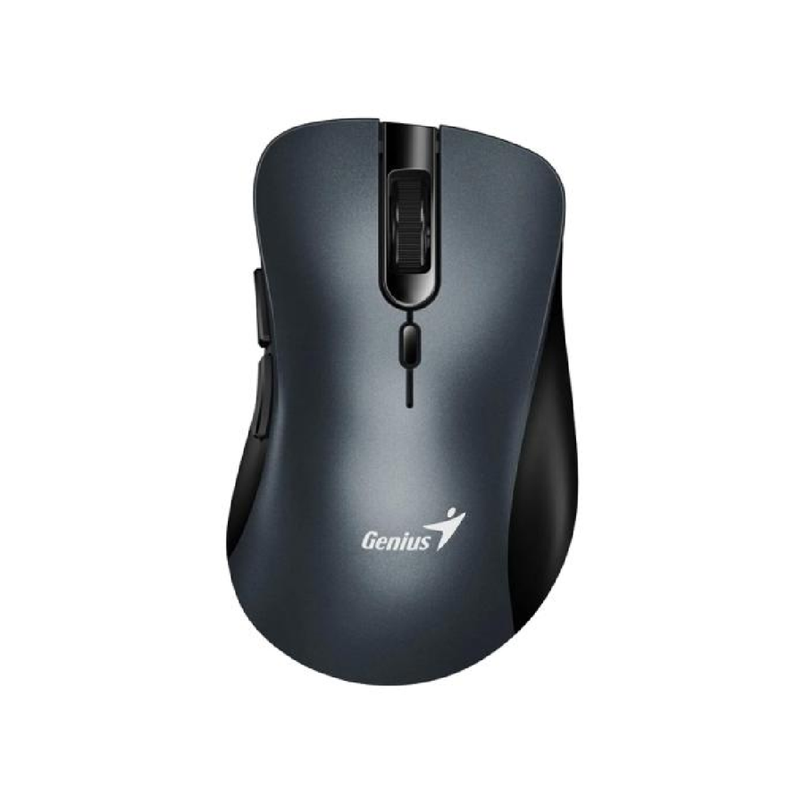 Mouse Genius RS2 Ergo 8100S Iron Gray