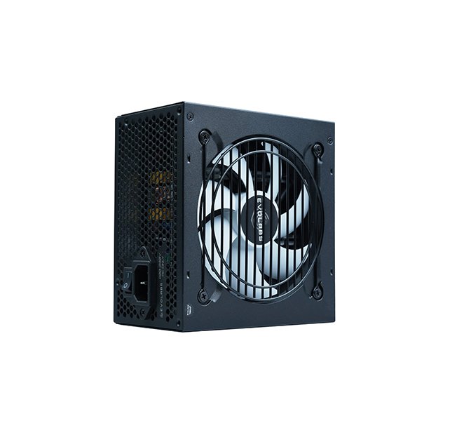 Fuente Evolabs 600w Power Series