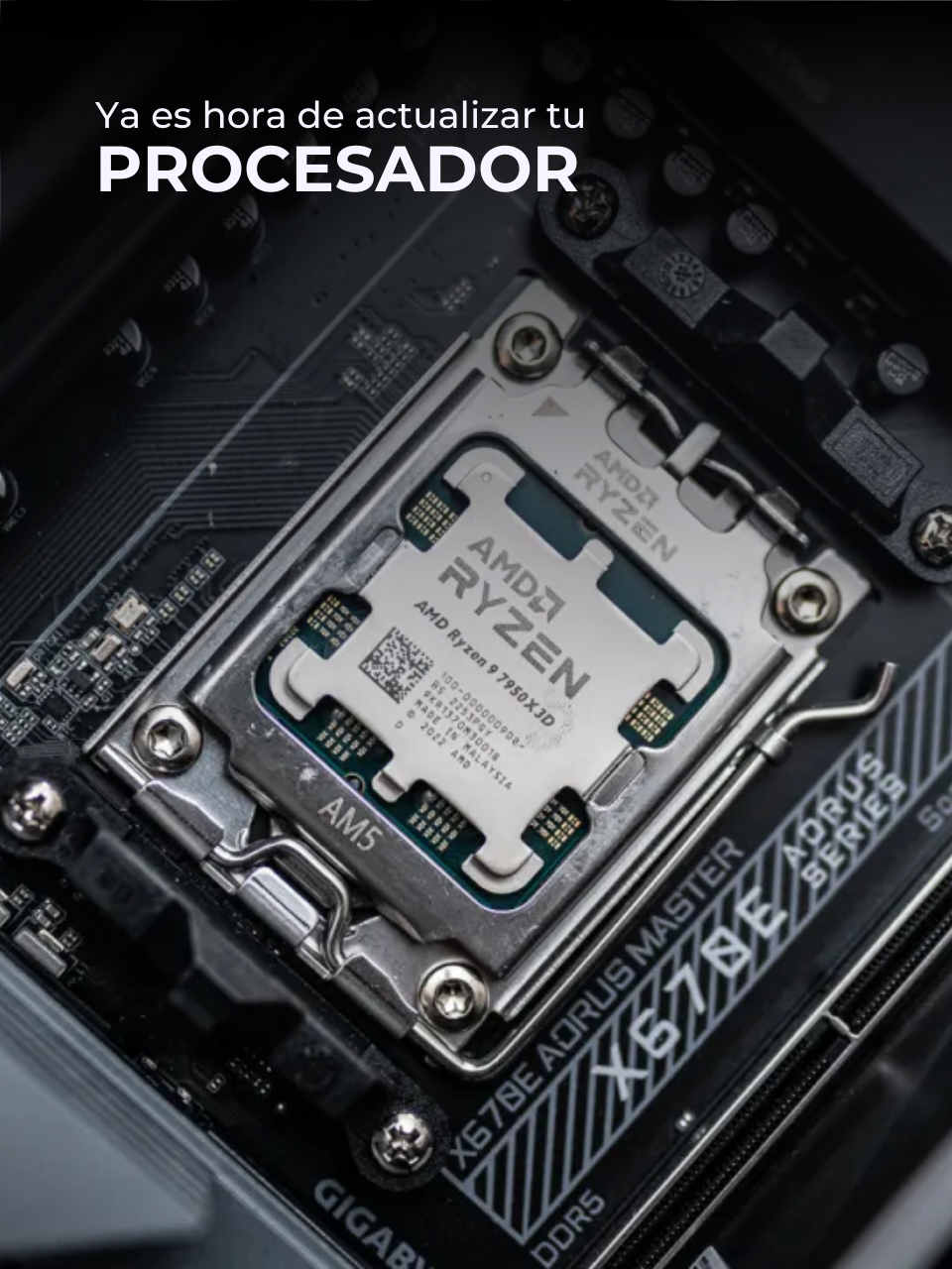 Procesadores