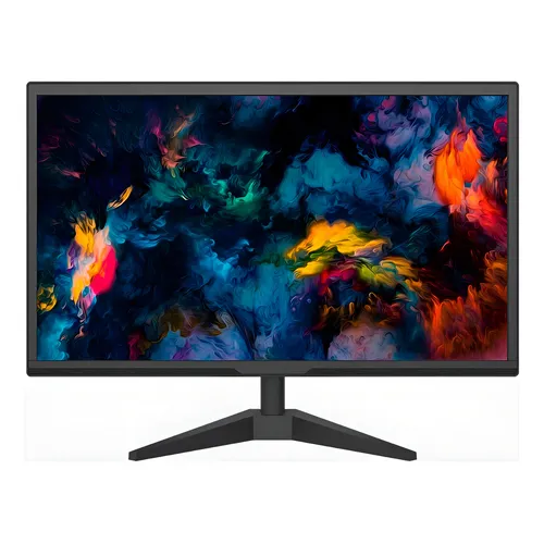 Monitor PC GO 19 VGA HDMI
