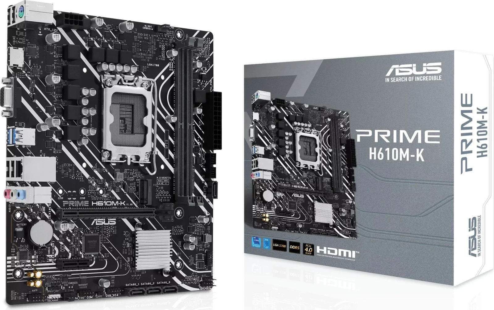 MOTHER ASUS PRIME H610M-K DDR5