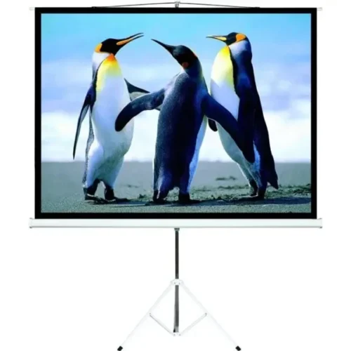 Pantalla Intelaid Proyector 100 Pulgadas Tripode IT-TPS100
