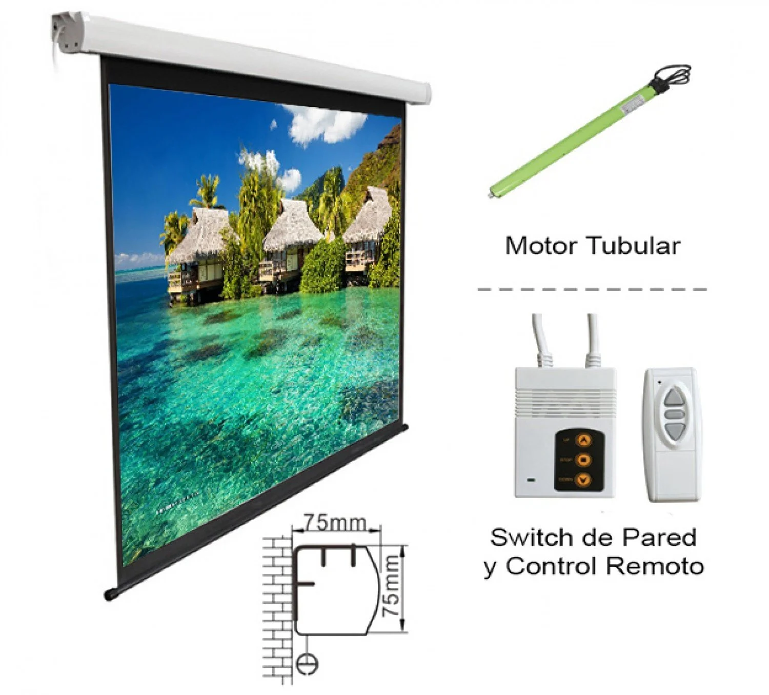 PANTALLA INTELAID PROYECTOR ELECTRICA 3 X 2.20 IT-PSE150
