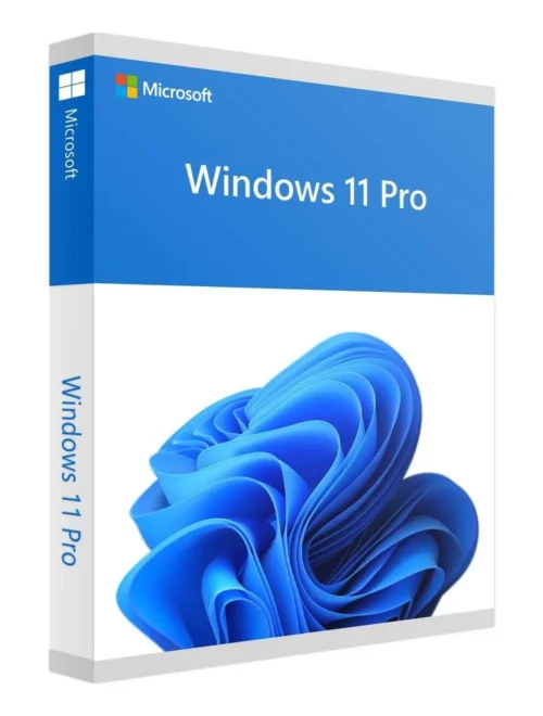 Windows 11 Pro 64B OEM 1PK Spanish