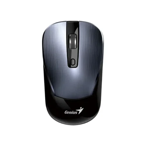 Mouse Genius NX 7125 Iron Gray
